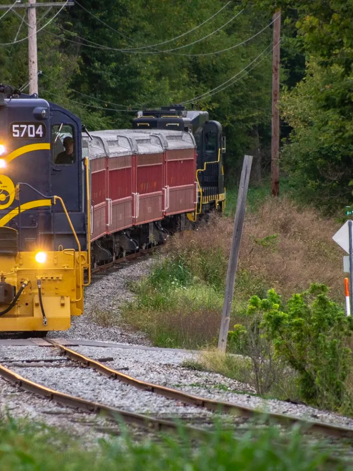 a train traveling down train tracks near a forest