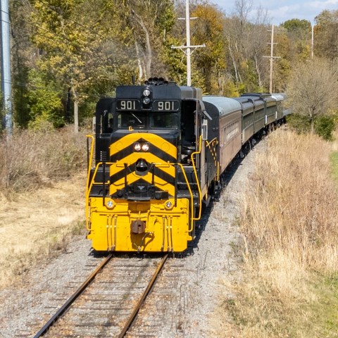 Yellow and black train on tracks curving through autumn foliage.