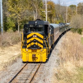 Yellow and black train traveling on tracks through a rural area with trees.