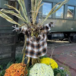 Scarecrow with plaid shirt and dried corn stalks surrounded by vibrant mums near a train.