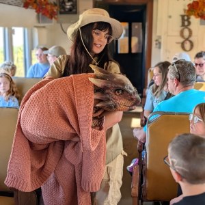 Woman in hat holding a dragon prop wrapped in a blanket on a train with passengers.