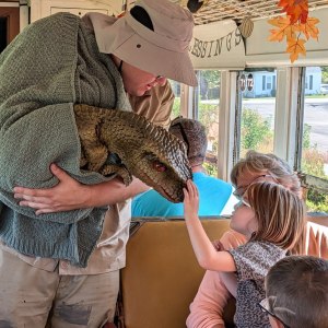 Child pats puppet dinosaur held by a person in a hat inside decorated space; seated adults present.