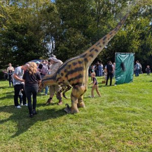 People outdoors interacting with a realistic dinosaur costume.