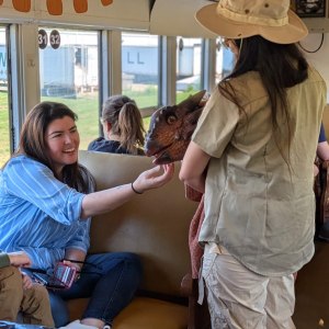 Woman pets dinosaur puppet held by person in safari outfit inside a decorated train.